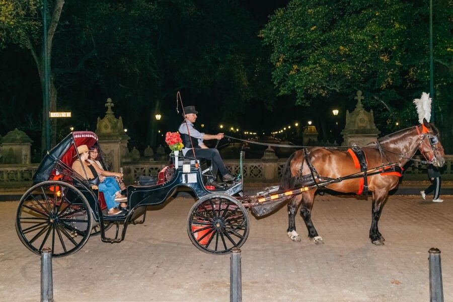 NYC MOONLIGHT HORSE CARRIAGE RIDE through Central Park - Price and value: $190 per group for a 45-minute night ride