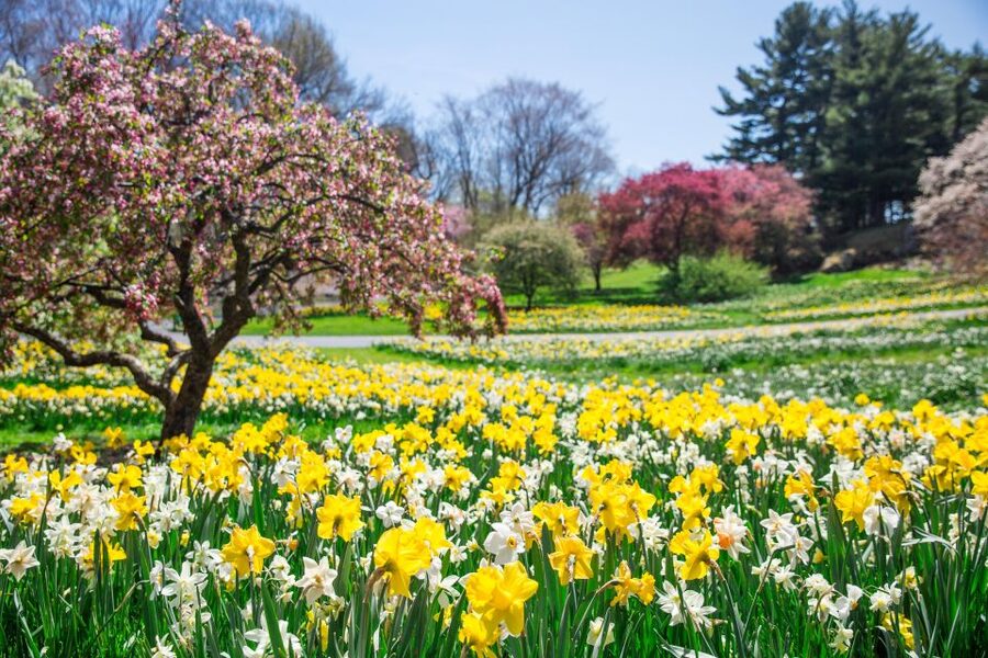 NYC: New York Botanical Garden Pass - Seasonal rhythm: orchids, trains, pumpkins, and summer art