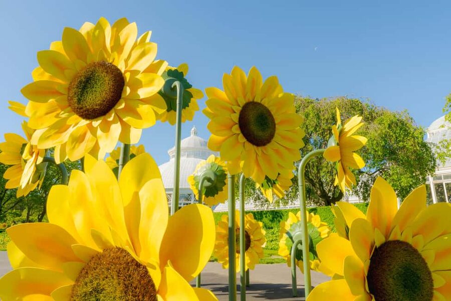 NYC: New York Botanical Garden Pass - Van Gogh’s Flowers 2025: the art-and-garden reason to go