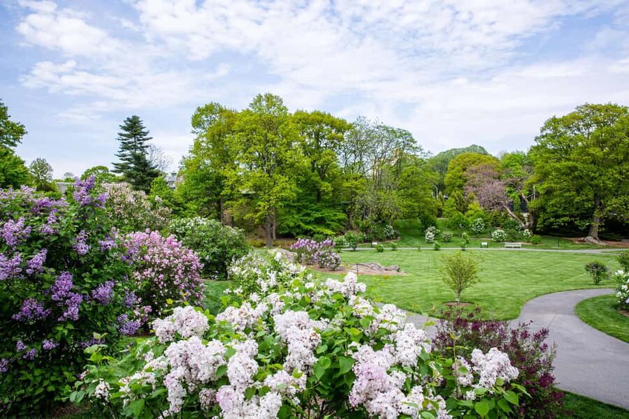 NYC: New York Botanical Garden Pass - Don’t miss the rose garden and native plant stops