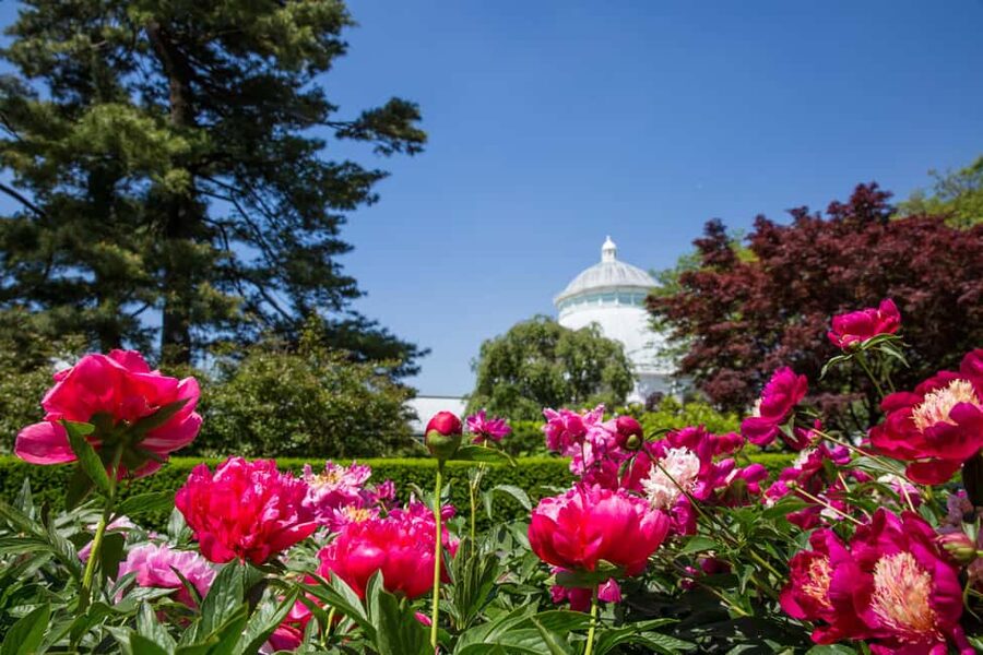 NYC: New York Botanical Garden Pass - Food, drinks, and the real cost of a garden day