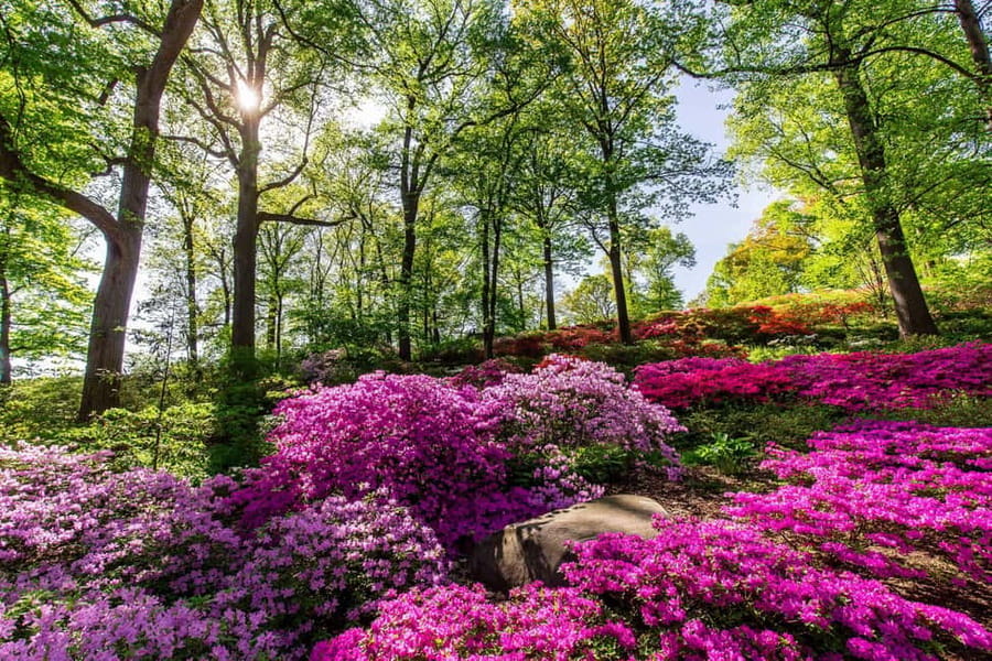 NYC: New York Botanical Garden Pass - Parking and getting in: the two things that can slow you down