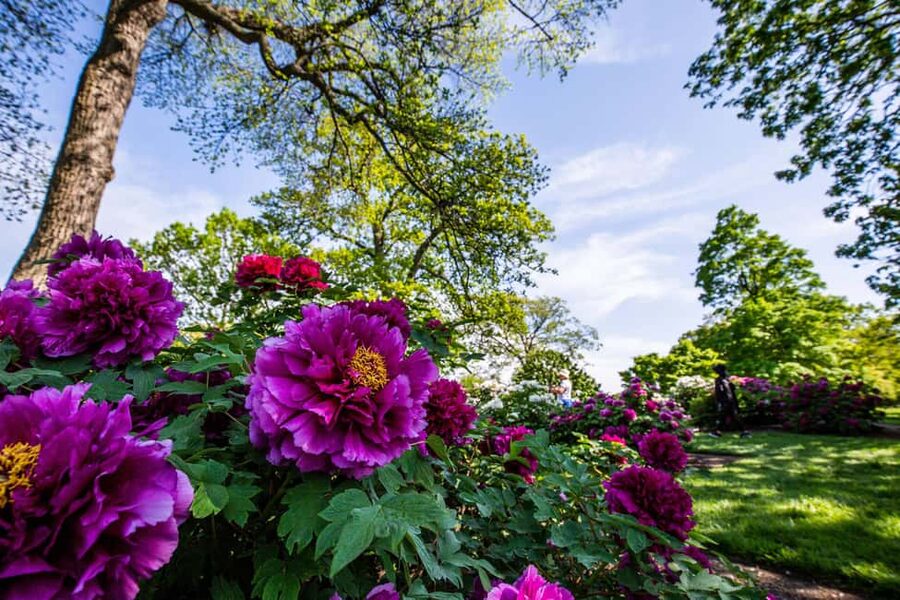 NYC: New York Botanical Garden Pass - Accessibility and terrain: what’s doable and what might be harder