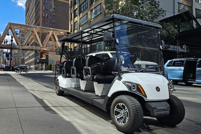 NYC: New York History & Landmarks Guided City Tour by E-Cart - A practical way to see NYC landmarks without burning the day