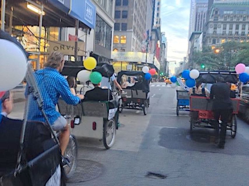 NYC Pedicab Tours: Central Park, Times Square, 5th Avenue - Central Park and Bryant Park: quick greenery breaks from the noise