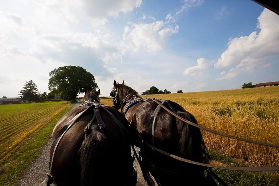 NYC: Philadelphia, Washington DC & Amish Country 2-Day Tour - Rocky Steps and the Trip to Lancaster County