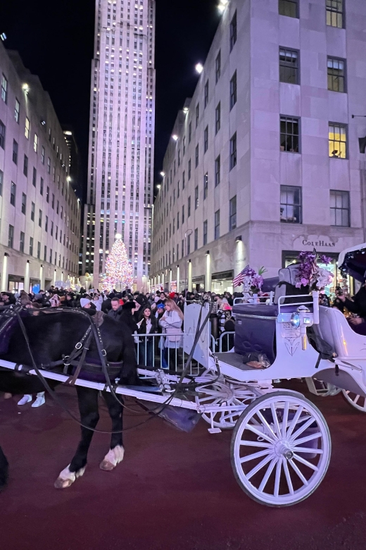 NYC: Private Central Park and NYC City Tour - Why this private Central Park carriage tour feels worth it