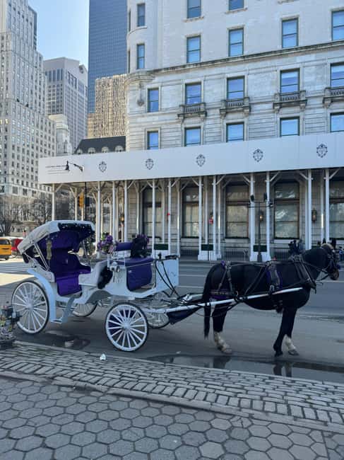 NYC: Private Central Park and NYC City Tour - The one-hour flow: Central Park icons in a slow-motion loop