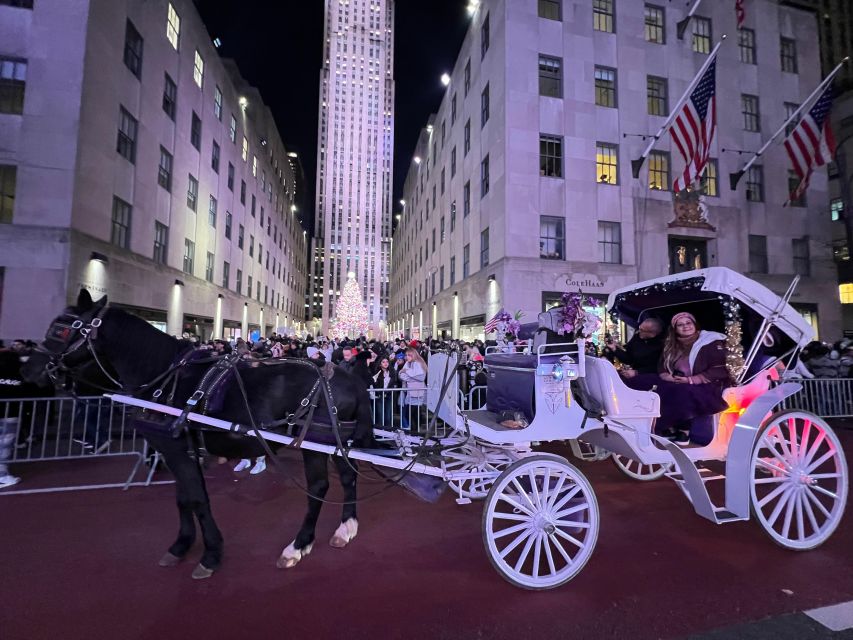 NYC: Private Central Park and NYC City Tour - Bethesda Fountain and the Bow Bridge: the romantic postcard version
