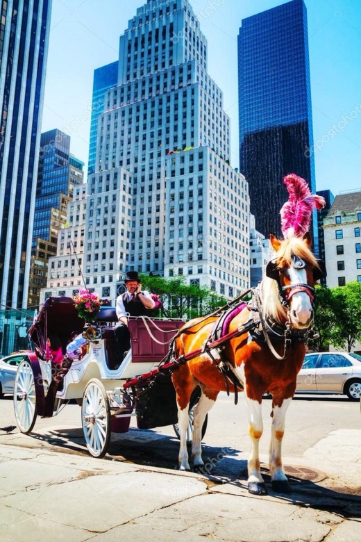 NYC: Private Central Park Horse Carriage Ride with Guide - Key things I’d circle before you book