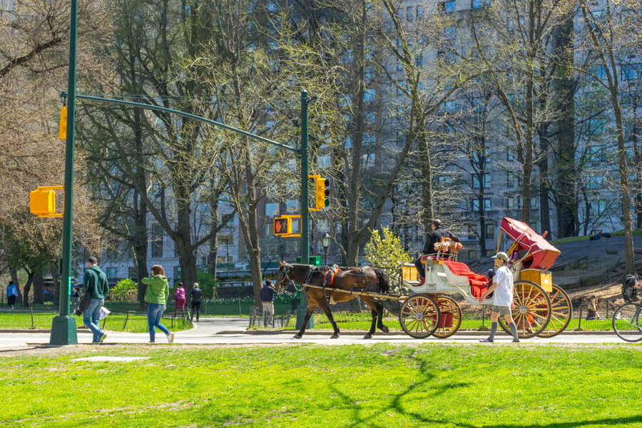 NYC: Private Central Park Horse Carriage Ride with Guide - Entering Central Park South with a Private Carriage Setup