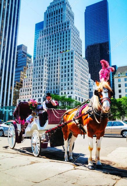 NYC: Private Central Park Horse Carriage Ride with Guide - Central Park Highlights Your Driver Can Hit in a 40–60 Minute Loop