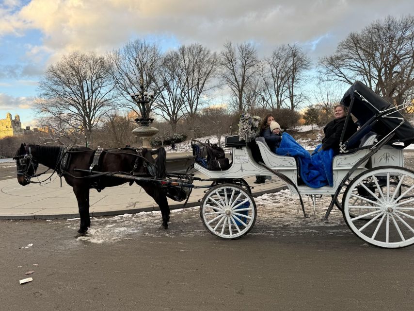 NYC: Private Central Park Horse Carriage Ride with Guide - Should You Book This Central Park Horse Carriage Ride?