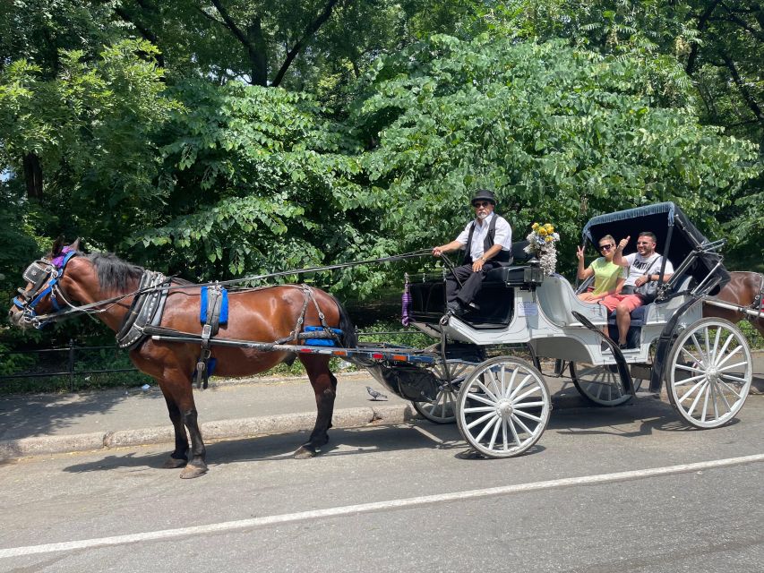NYC Private Central Park Horse Carriage Ride with Guide - Guide quality: what you get when the ride is actually personal