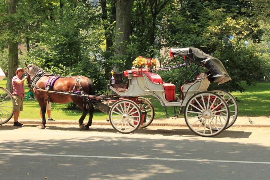 NYC: Private Central Park Horse Carriage Ride with Guide - Where the Ride Starts: Meeting at Central Park South and 7th Ave