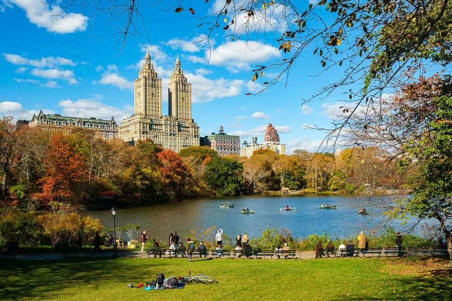 NYC: Private Central Park Pedicab Tours / PICKUP FROM MUSEUM - Natural History Museum pickup: starting where your day already is