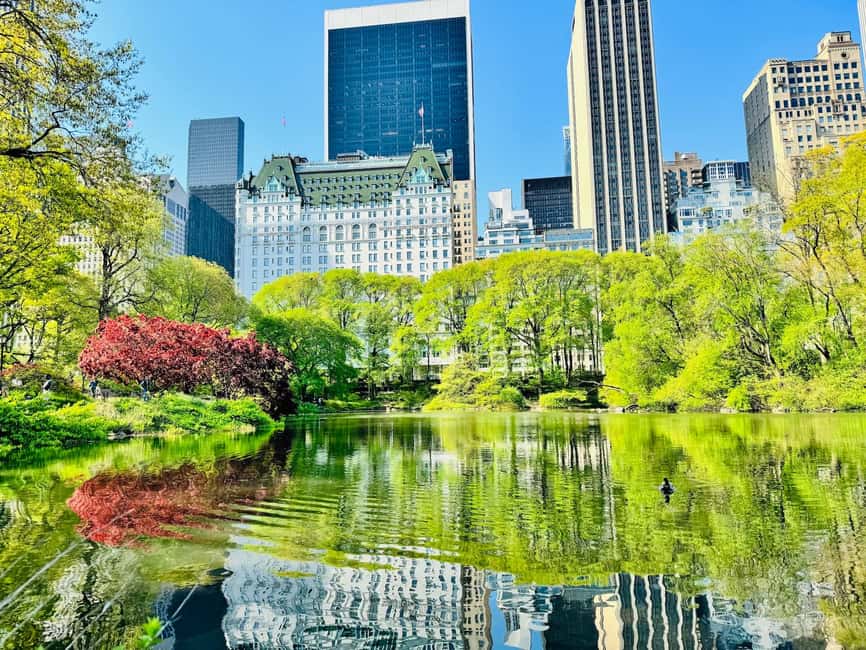 NYC: Private Central Park Pedicab Tours / PICKUP FROM MUSEUM - The 1-hour experience: what you’ll feel by the end