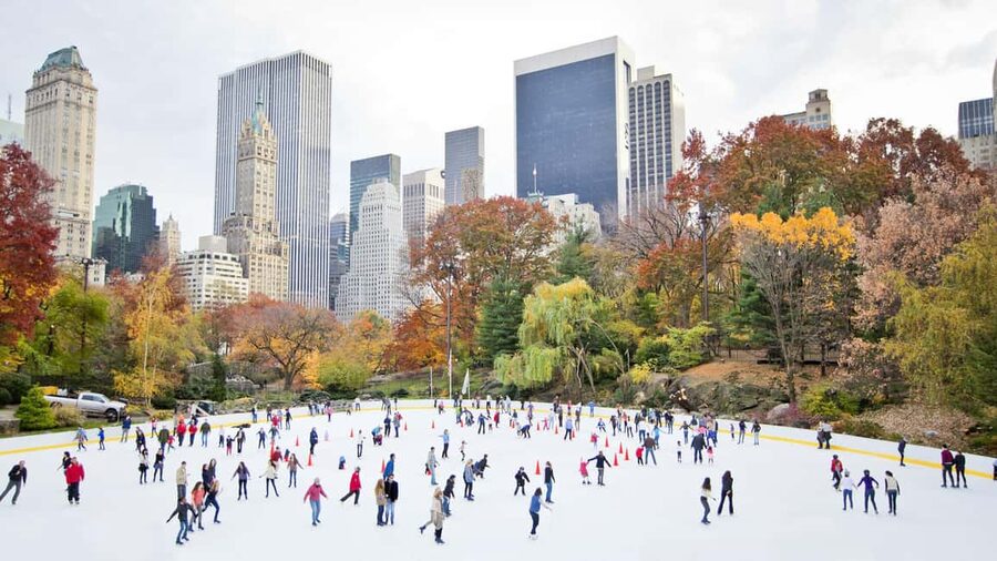 NYC: Private Central Park Tour - Up close with Alice, and city views around the museums