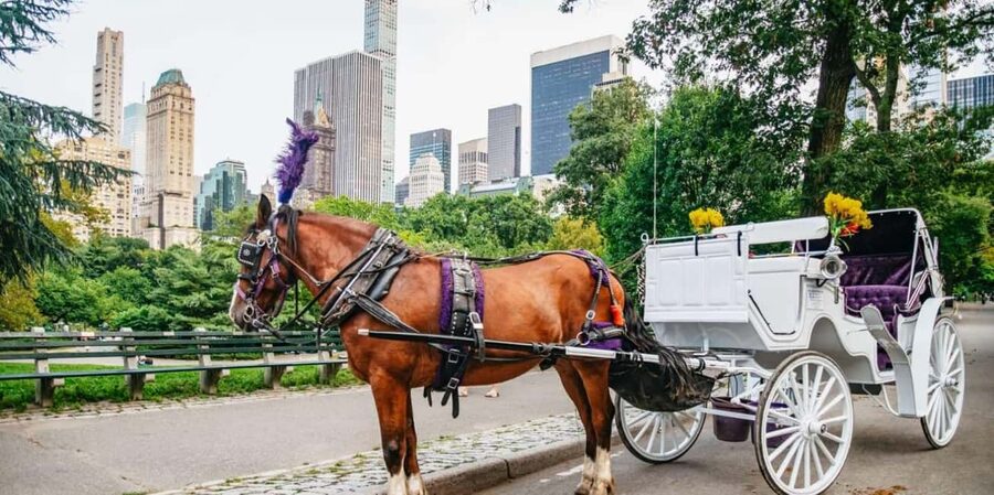 NYC: Private Christmas Lights Horse Carriage Ride - A Horse Carriage Ride Makes NYC Holidays Feel Simpler