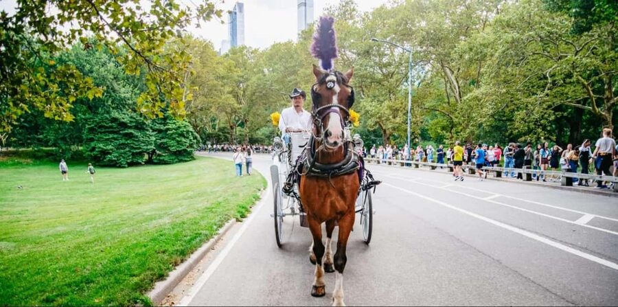 NYC: Private Christmas Lights Horse Carriage Ride - The 5th Avenue Holiday Lights Route: What You’ll See and Why It Works