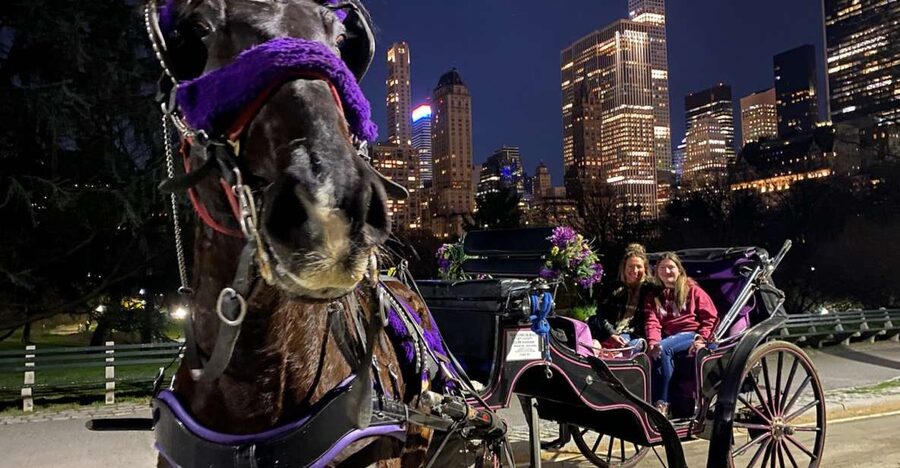NYC: Private Christmas Lights Horse Carriage Ride - Plaza Hotel: When the Holiday Looks Like a Movie Scene