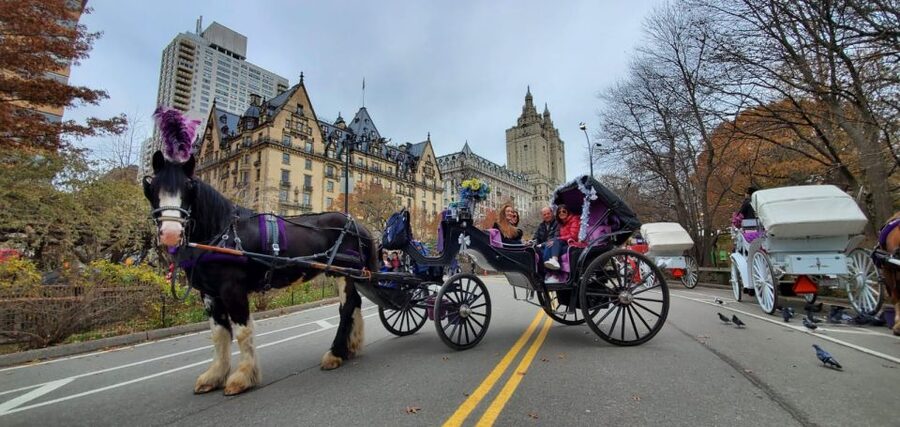 NYC: Private Christmas Lights Horse Carriage Ride - Rockefeller Center and the Giant Christmas Tree Moment