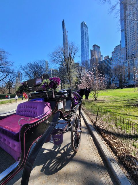 NYC: Private Christmas Lights Horse Carriage Ride - Who This Private Christmas Lights Ride Fits Best
