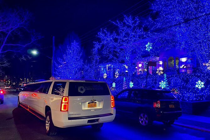 NYC Private Holiday Lights Tour - Stop-by-stop: Dyker Heights photos without getting stuck