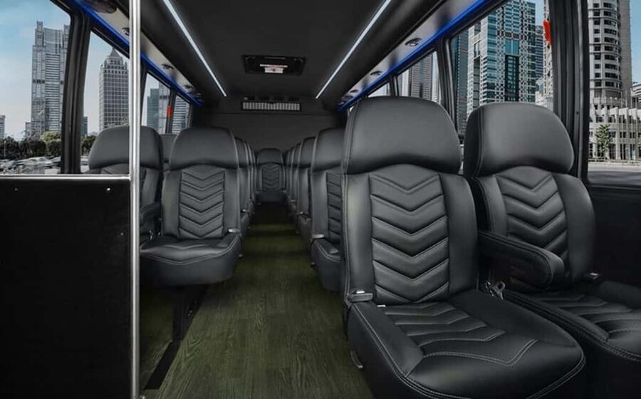NYC: Private Luxury Tour of NYC With Transportation - The luxury ride: leather seats, AC, and your guide doing the storytelling