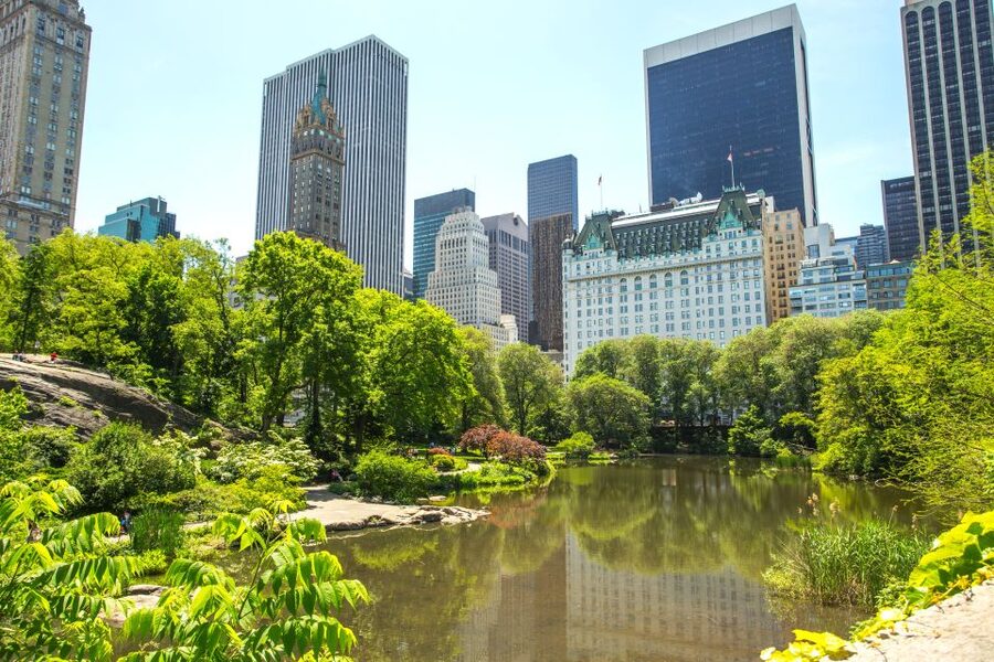 NYC: Private Tour Secrets of Central Park - Key things that make this Central Park tour work