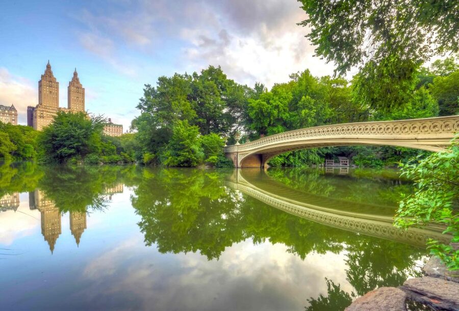 NYC: Private Tour Secrets of Central Park - The Zoo stop: a quick way to understand Central Park’s variety