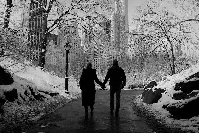 NYC Professional Photoshoot and Walking Tour with Private Guide - Price math: when $350 per group feels like a bargain