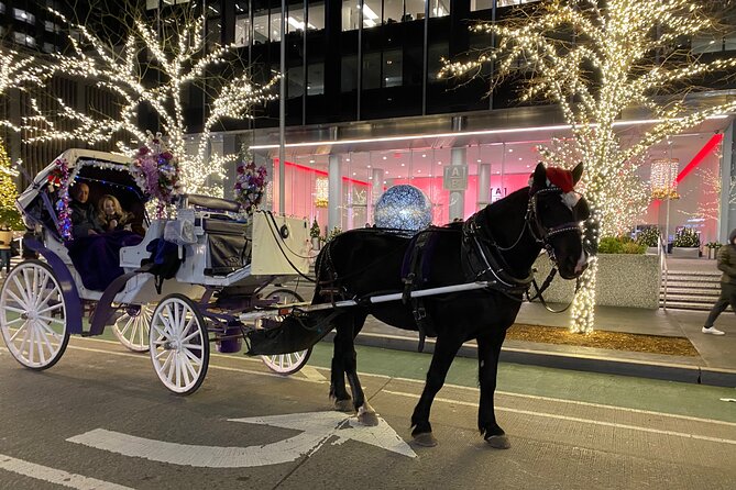 NYC Rockefeller Center Christmas Lights Horse Carriage Ride - Key things to know before you go