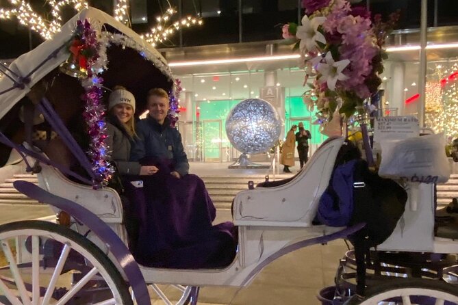 NYC Rockefeller Center Christmas Lights Horse Carriage Ride - What a 45-Minute Private Ride Does Better Than Walking