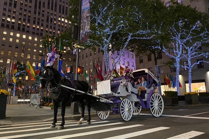 NYC Rockefeller Center Christmas Lights Horse Carriage Ride - Comfort, Safety, and the Horse-Feeding Touch