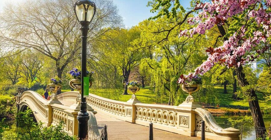 NYC: Sightseeing Day Trip with Statue of Liberty Visit - Should You Book This NYC Day Bus Tour to Liberty?