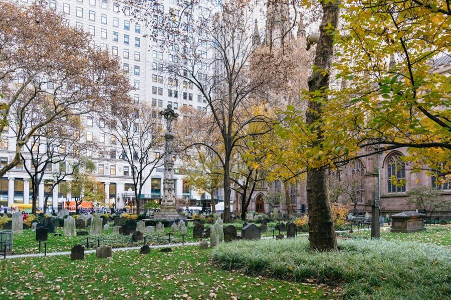 NYC: The Story of Alexander Hamilton Private Walking Tour - Who this tour suits best