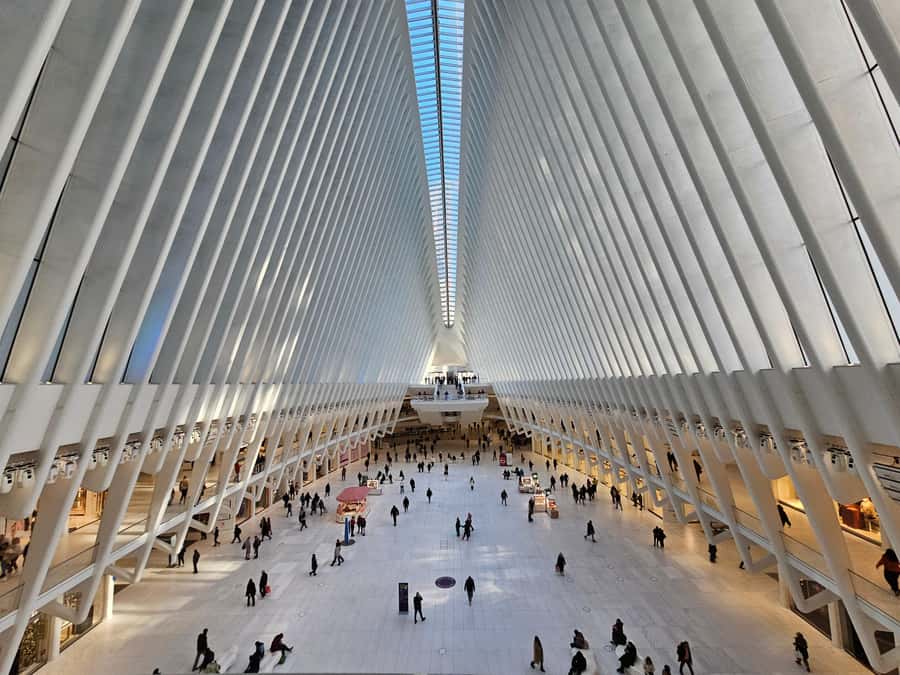 NYC: Wall Street Finance & Power, 9/11 memorial and the Bull - Price and Value: Is $52 Reasonable for What You Get?