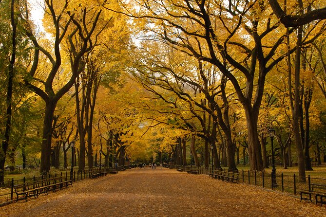 Official Central Park Walking Tour - Sheep Meadow: skyline views that make the whole park click