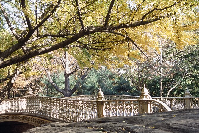 Official Central Park Walking Tour - Bethesda Terrace and the Lake: the end point that feels like a movie scene