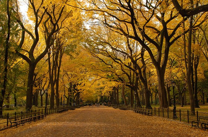 Official Central Park Walking Tour - How Central Park went from rocky and swampy to art