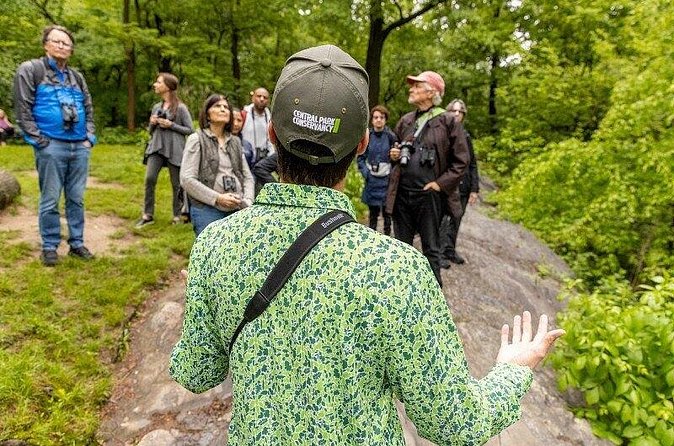Official Central Park Walking Tour - Price and value: why $33 makes sense for a guided icon walk