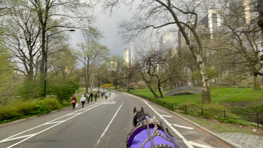 Official Exclusive VIP Horse Carriage Ride in Central Park - Key highlights worth planning for