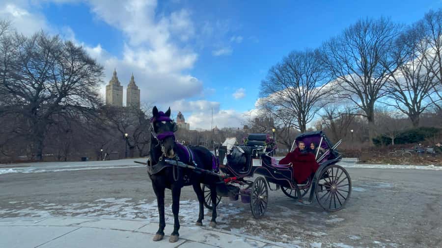Official Exclusive VIP Horse Carriage Ride in Central Park - The route between Wollman Rink and the Chess & Checker House