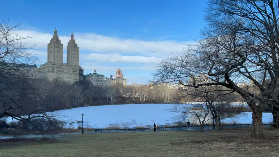 Official Exclusive VIP Horse Carriage Ride in Central Park - Central Park Carousel and the kind of photo stop that saves your energy