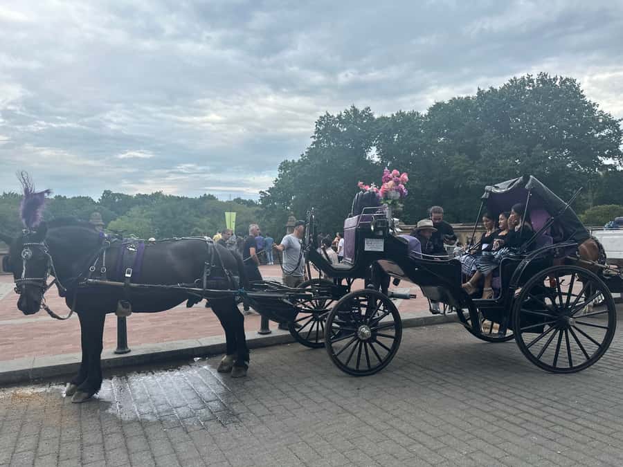 Official Exclusive VIP Horse Carriage Ride in Central Park - Horse treats and blankets: the small details that make it feel special