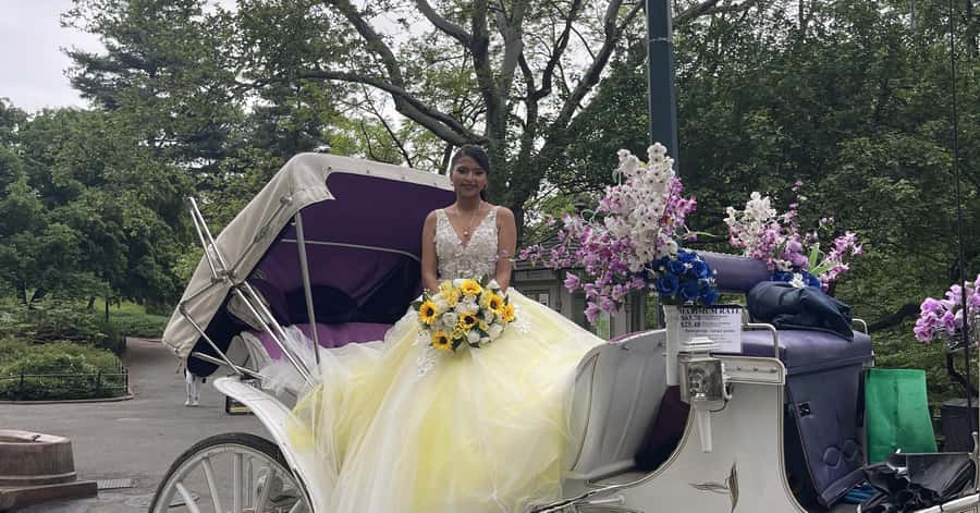 Official Exclusive VIP Horse Carriage Ride in Central Park - Starting at 7th Ave and West 59th: get oriented fast