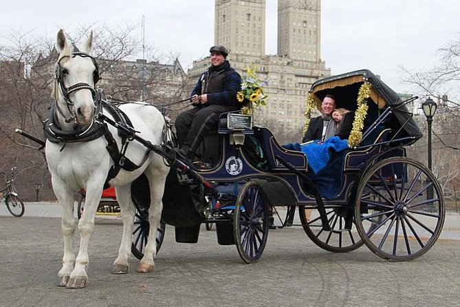 Official NYC Horse Carriage Rides in Central Park since 1979 ™ - Entering Central Park from 7th Ave and West 59th
