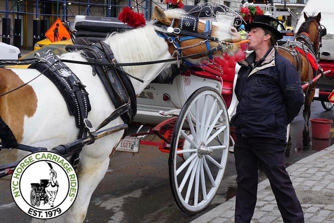 Official NYC Horse Carriage Rides in Central Park since 1979 ™ - Literary Mall, Balto the husky, and the Conservatory Water area