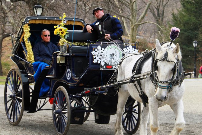 Official NYC Horse Carriage Rides in Central Park since 1979 ™ - Bethesda Terrace and Bethesda Fountain: the park’s gravity well